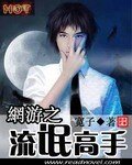 《网游之流氓高手》
