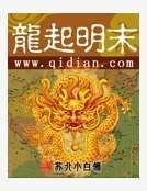 《龙起明末》