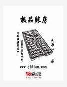 《极品账房》