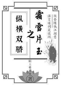 《纵横双骄之霜雪片玉》