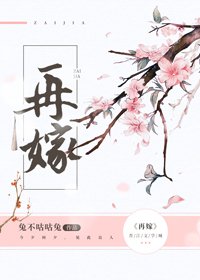 《再嫁(重生)》