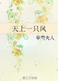 《天上一只凤》