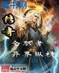 《传奇全职者异界纵横》
