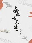 《南风吹又生》