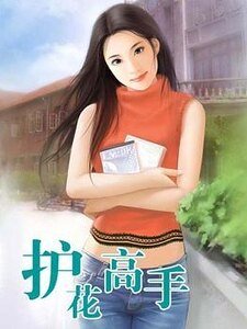 护花高手