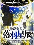 神奇宝贝之落羽星辰