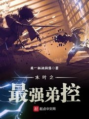 《木叶之最强弟控》