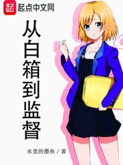 《从白箱到监督》