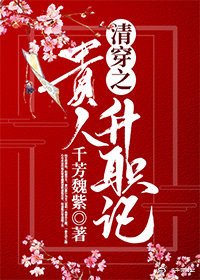 《清穿之贵人升职记》