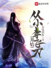 《从小李飞刀开始》