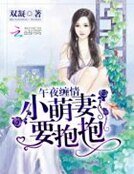 《午夜缠情:小萌妻要抱抱》
