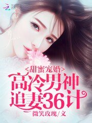 《甜蜜宠婚:高冷男神追妻36计》