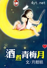 《酒煮青梅月》