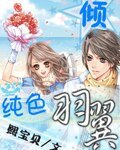 《纯色羽翼:倾》