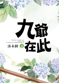 《九爷在此》
