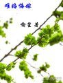 难婚悔嫁