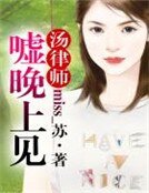 《汤律师,嘘,晚上见》