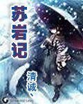 《苏岩记》