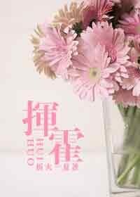 挥霍（网络版）