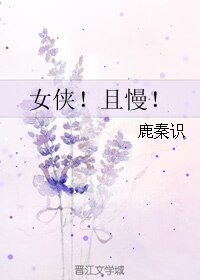 《女侠!且慢!》