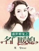 《盛世婚宠之名门暖媳》