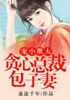 宠小欺大,贪心总裁的包子妻!