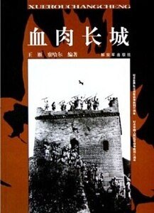 《血肉长城》
