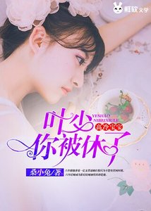 《高冷宝宝:叶少,你被休了!》