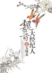 魏晋大经纪人