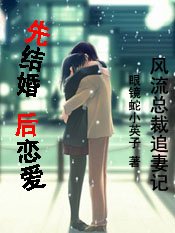 风流总裁追妻记：先结婚，后恋爱
