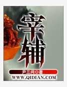 宰辅