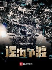 《谍海争渡》