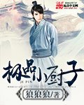 《极品小厨子》