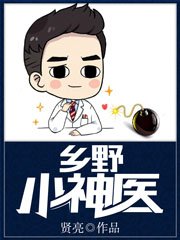 《乡野小神医》