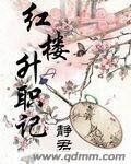 红楼升职记