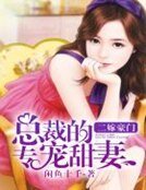 《二嫁豪门:总裁的专宠甜妻》