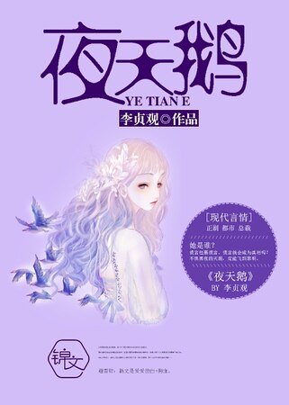 《夜天鹅》
