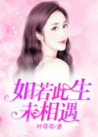 《如若此生未曾相遇》
