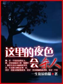 《这里的夜色会杀人》