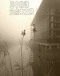 《风中的诗》
