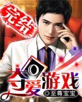 《夺爱游戏》