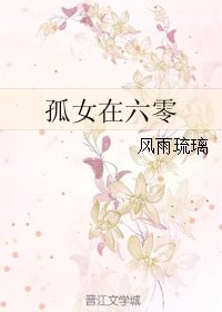 《孤女在六零》