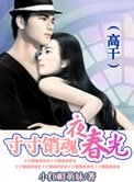 《寸寸销魂夜春光(高干)》