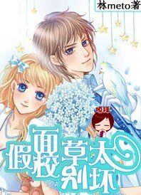 《双胞胎校草的女佣情人》