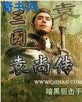 三国袁尚传