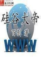 硅谷大帝