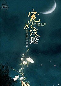 《宠妃攻略》