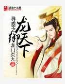 《寻秦之龙御天下》