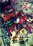 《宝茹传》