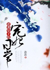 《逆袭皇子的宠妃日常》